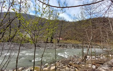 این ویلای روستایی جنگلی با پنجره رو به کوه و جنگل و رودخانه و تراس مشرف به کوه و رودخانه زیبای خالکوبی و فاصله کم تا ییلاق اولسبنگاه میزبان شماست.