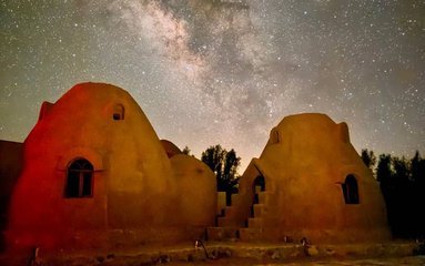 کاروانسرای مشجری در فضایی 700 متری در فاصله ۵۰ کیلومتری شهر انارک در فاصله ۲۴۰ کیلومتری از شهر اصفهان و ۱۱۰ کیلومتری نایین قرار دارد و در دوره قاجار ساخته شده است.
هزینه پذیرش کودکان 3 تا 7 سال به صورت نیم بها می باشد و کودکان 7 سال به بالا جزو نفرات حساب می شوند.
کاروانسرا دارای وای فای رایگان برای میهمانان عزیز می باشد.
صبحانه رایگان برای میهمان سرو خواهد شد.
اقامتگاه دارای نگهبان و دوربین مدار بسته در درب اقامتگاه، ورودی و حیاط بابت امنیت میهمانان عزیز می باشد.