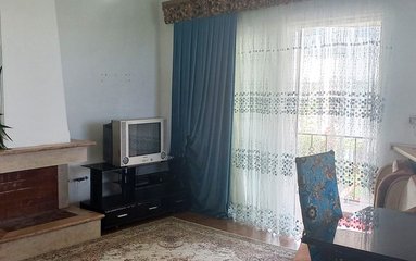 یک خوابه بهار 12، علی گل محمدی