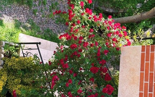 رزرو ویلا دوخوابه جکوزی دار یامی ویل السای