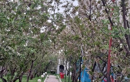 رزرو بوم گردی پردیس صحرا - واحد 1