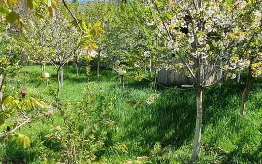 رزرو ویلا چهار خوابه سرمحمدی