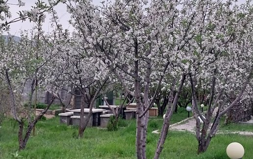 اجاره سوئیت فلت پردیس صحرا