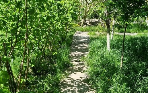 رزرو ویلا چهار خوابه سرمحمدی