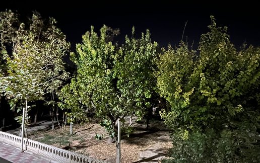 اجاره ویلا یک خوابه استخردار باغ شهریار 1