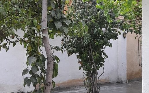 رزرو ویلا سه خوابه عمارت خان