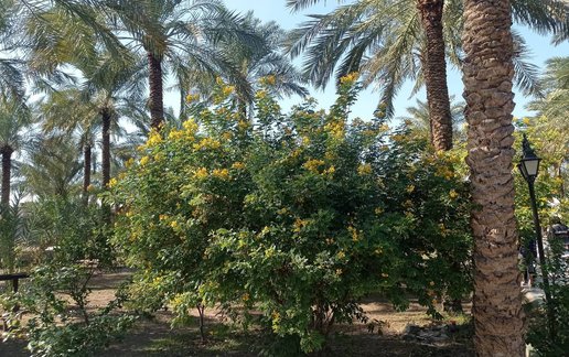 مجتمع اقامتگاهی باغ طالبی - واحد 101