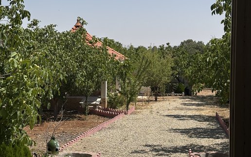 اجاره ویلا یک خوابه جنگلی بلوط 1