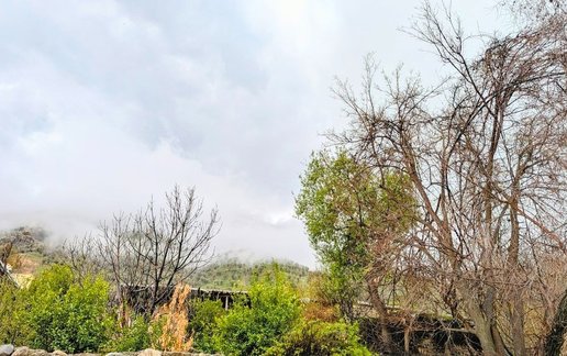 اجاره ویلا یک خوابه سپی