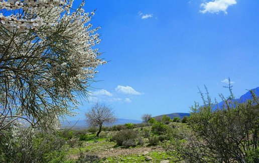 رزرو بوم گردی کل واحد -آسمان آبی