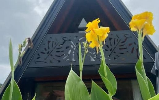 اجاره کلبه یک خوابه جنگلی کاج 1