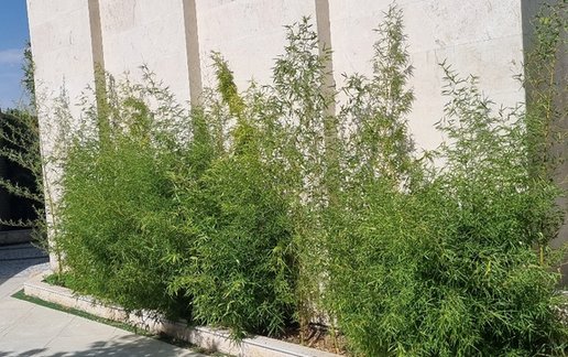 اجاره ویلا دوخوابه استخردار قلات کودیان