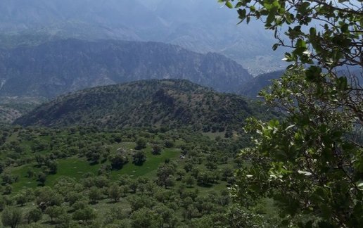 اجاره بوم گردی اقامتگاه بومگردی هلان بدره - واحد 1