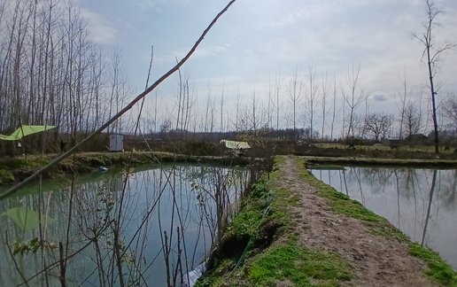 اجاره ویلا دو خوابه جکوزی دار آشیان