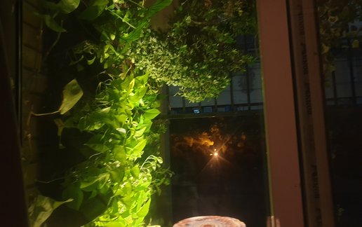 اجاره آپارتمان دوخوابه عطار