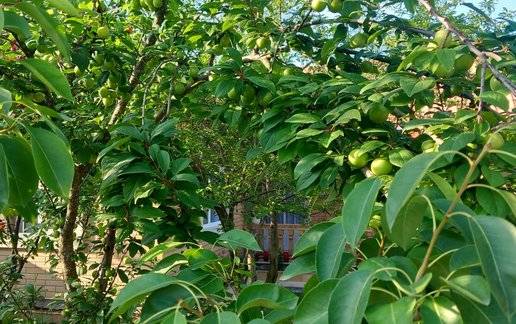 اجاره ویلا دوخوابه شهیدانی