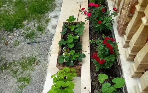 اجاره ویلا دوخوابه شهیدانی