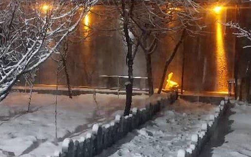 رزرو ویلا دوخوابه چیماه