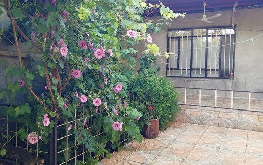 ویلا یک خوابه دیدار بیاشوش