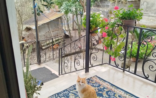 اجاره ویلا یک خوابه نیکو 1
