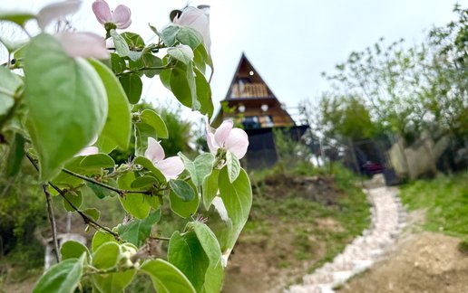 اجاره کلبه یک خوابه سوئیسی أبرا