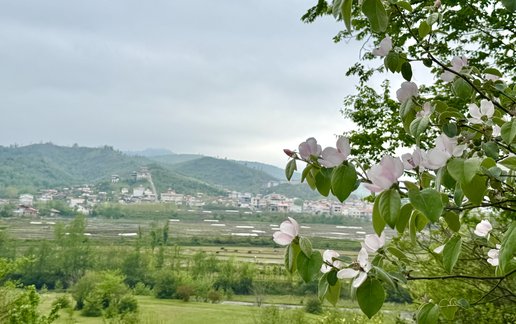 اجاره کلبه یک خوابه سوئیسی أبرا
