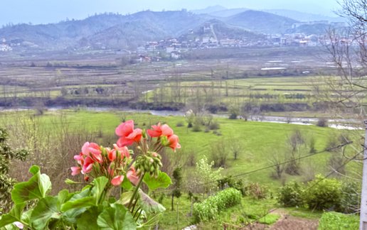 اجاره کلبه یک خوابه سوئیسی أبرا