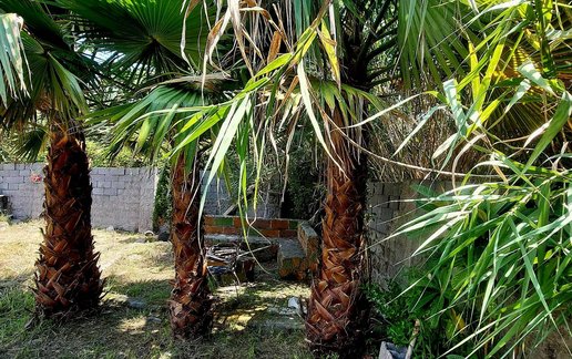 رزرو ویلا دوخوابه عابدین زاده