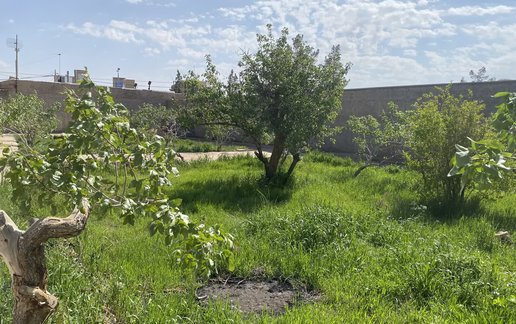 اجاره ویلا چهارخوابه کیانی زاده