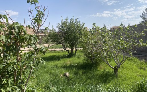 اجاره ویلا چهارخوابه کیانی زاده
