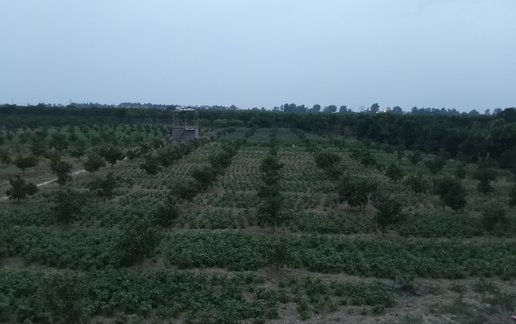 اجاره سوئیت یک خوابه تجن لته