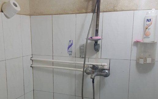 اجاره ویلا فلت جنگلی بی بی