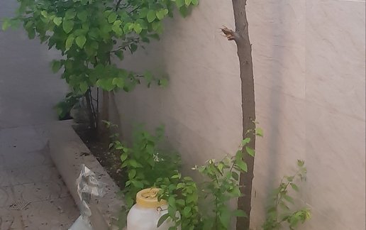 اجاره ویلا سه خوابه دوبلکس جمشیدی