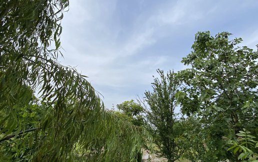 اجاره کلبه دوخوابه پرچین طلایی