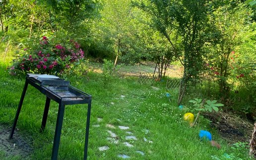 اجاره کلبه دوخوابه پرچین طلایی