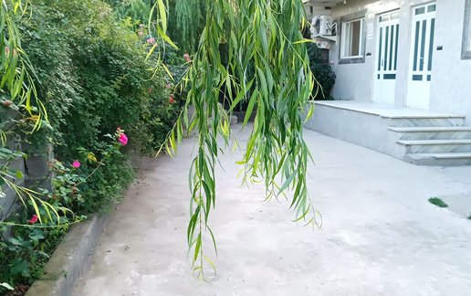 اجاره ویلا دوخوابه جنگلی آراز