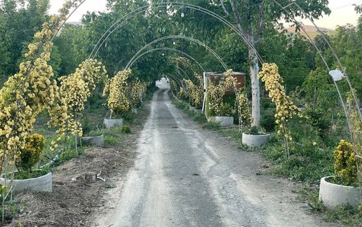 اجاره بوم گردی فلت باغ خورشید 1
