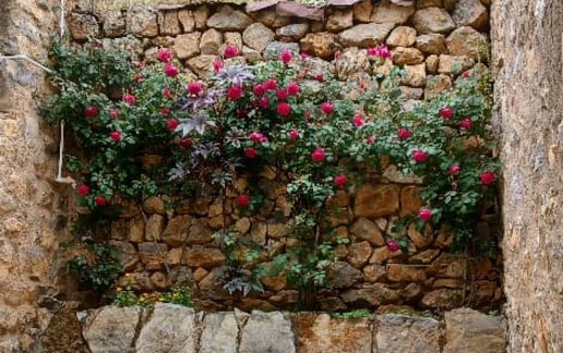 اجاره ویلا دوخوابه عابد سعدی