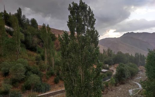 اجاره ویلا دوخوابه جنگلی قربانی