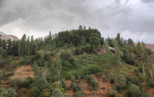 اجاره ویلا دوخوابه جنگلی قربانی