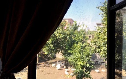 اجاره ویلا دوخوابه بهارنارنج 2