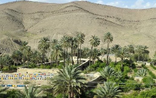اجاره اقامتگاه سنتی باغ سلیمان - واحد آفتاب