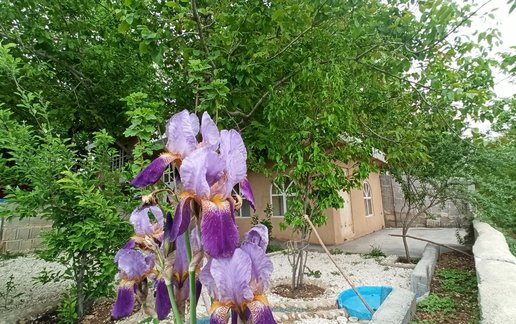 اجاره ویلا دوخوابه سپیدان سربست 2