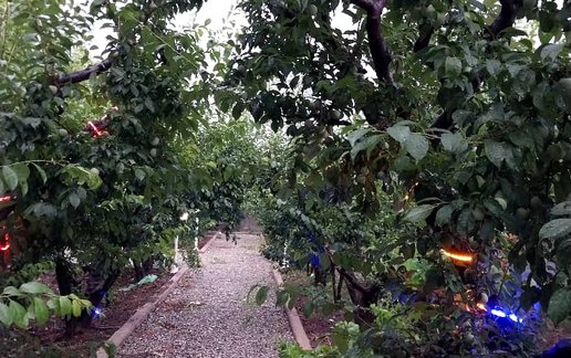 اجاره ویلا یک خوابه استخردار آبگرم شادمهر