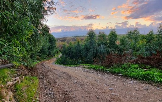 رزرو بوم گردی بومگردی دوسین - واحد ۳