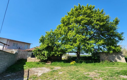 اجاره آپارتمان یک خوابه سوته