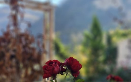 اجاره کلبه فلت سوئیسی آبشار 2