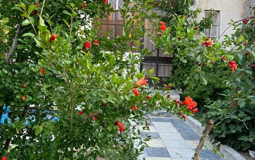 اجاره سوئیت یک خوابه طلاییه