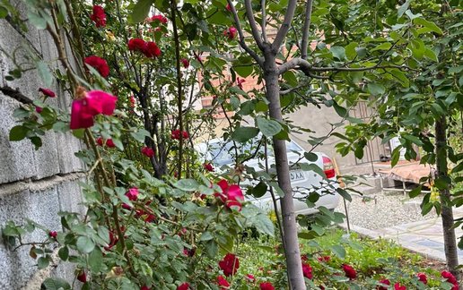 اجاره سوئیت یک خوابه طلاییه