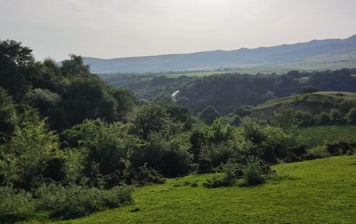رزرو ویلا یک خوابه جنگلی صالح آباد